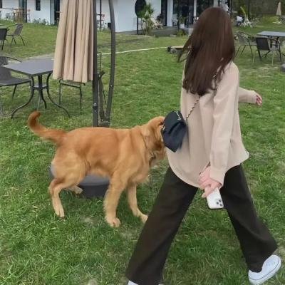 炮制女朋友粤语海报